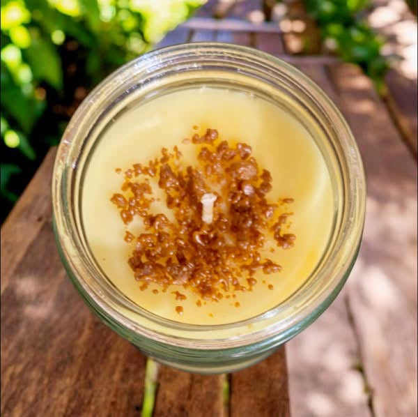 Crème Brûlée Candle | Sweet Vanilla Custard & Caramelized Sugar Dessert Candle